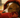 Do dogs get sad? Understanding seasonal mood changes in UK pets