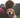 10 heartwarming ways to celebrate National Dog Day with your pup