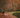 Step into autumn: celebrating National Walk Your Dog Week 2025