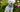 Preparing your pet for spring: health checks that matter