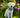 Preparing your pet for spring: health checks that matter