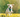 Why dogs suddenly act younger in spring (and what it means)