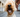 Pet dental health: simple ways to keep teeth clean at home