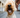 Pet dental health: simple ways to keep teeth clean at home