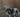 Dog eating grass - why does my dog eat grass blog