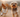 Picture of two dogs running along a footpath, looking happy.