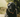 Senior pet health in the UK: Joint care, diet & comfort tips