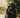 Senior pet health in the UK: Joint care, diet & comfort tips