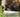 Closeup picture of a dog eating from a dog food bowl.