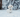 dog sitting in the snow - Winter tips to keep your dog healthy and happy blog