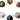 Frequently asked questions - little pictures of lots of dogs with question marks
