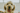 Happy dog