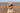 Lasting effect dog on beach