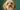 Cockapoo on a green background