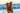 Happy collie running in the sea