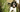 How hot weather affects dogs with arthritis
