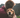 10 heartwarming ways to celebrate National Dog Day with your pup