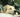 Can dogs have anxiety disorders? Signs, causes & how to help