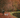 Step into autumn: celebrating National Walk Your Dog Week 2025