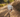 Summer dog care UK: Heat safety, grooming & travel tips