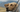 Travelling with dogs UK: Car travel & holiday tips