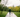 Dog walking benefits UK: Exercise & health guide for dogs