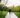 Dog walking benefits UK: Exercise & health guide for dogs