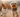 Picture of two dogs running along a footpath, looking happy.