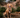 Dog in bushes Dog Poo 101: What your pup’s poo says about their health blog