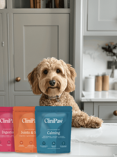 Cockapoo jumping on side with packets of CliniPaw - subscription benefits