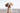 Spaniel sitting on the beach looking up